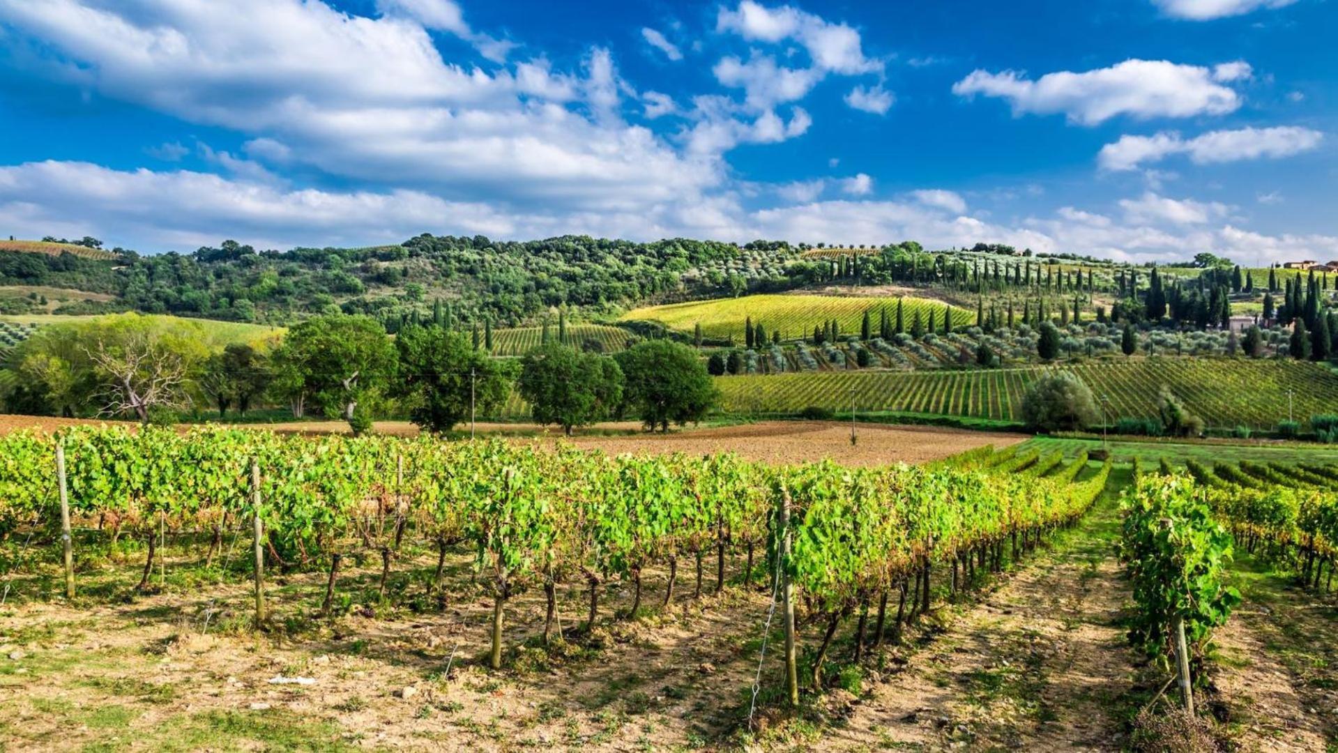 Terre Gialle - La Val D'Orcia Nascosta Castel del Piano  Dış mekan fotoğraf