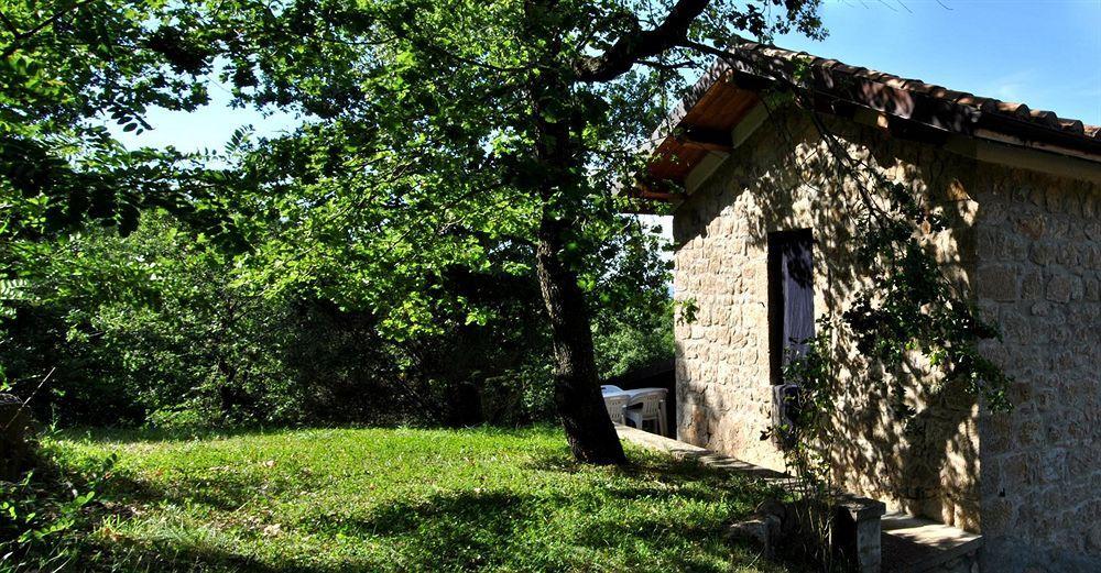 Terre Gialle - La Val D'Orcia Nascosta Castel del Piano  Dış mekan fotoğraf