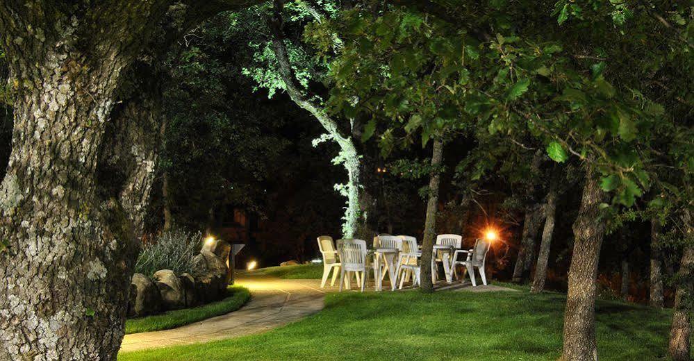 Terre Gialle - La Val D'Orcia Nascosta Castel del Piano  Dış mekan fotoğraf